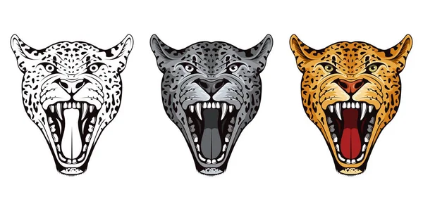 Par Cabeças Zangadas Leopardo Leopardo Animal Predador Logotipo Cor Mascote — Vetor de Stock