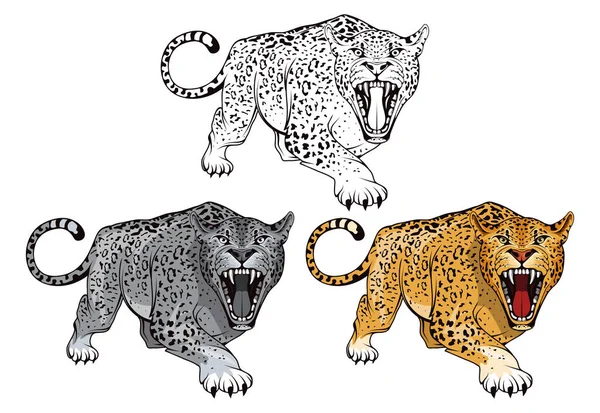 Grupo Leopardos Enojados Soporta Leopardo Animal Depredador Logotipo Color Mascota — Archivo Imágenes Vectoriales