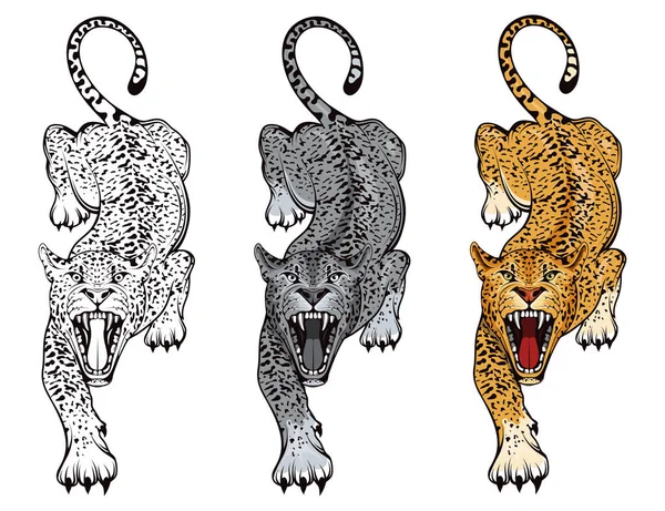 Groupe Léopards Colère Tient Léopard Animal Prédateur Logo Couleur Mascotte — Image vectorielle