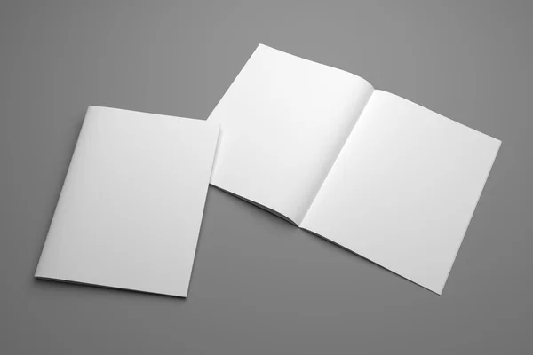 Blank abrir 3d renderização US Carta revista mockup com capa — Fotografia de Stock