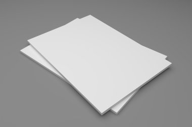 3D resimde boş iki dergi, kitap gri boş.
