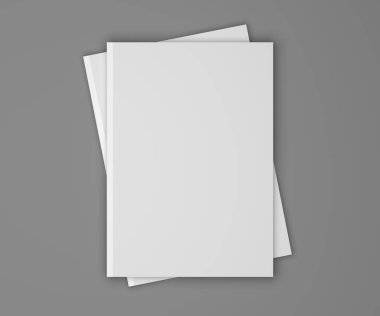 3D resimde boş iki dergi, kitap gri boş.