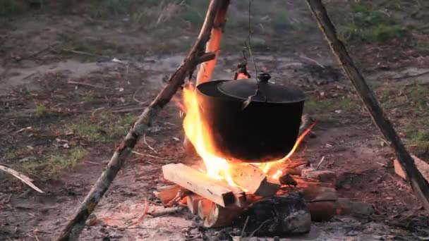 Κατσαρόλα στη φωτιά. — Αρχείο Βίντεο