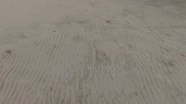 Sinek üzerinde Sandy Shore.