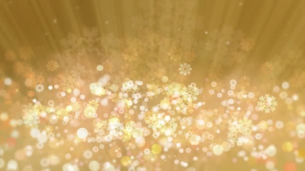 Rayos de vacaciones de oro con brillante estrella y copos de nieve — Vídeos de Stock