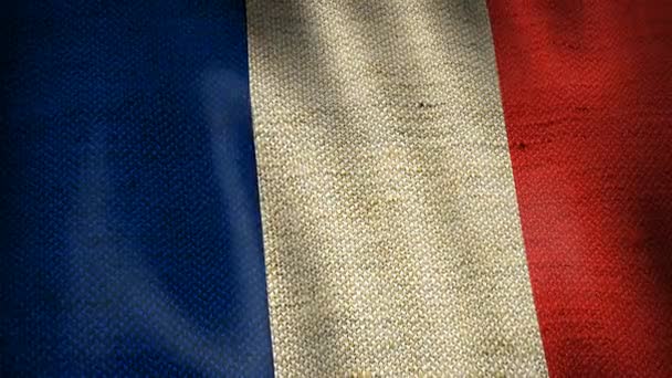 Beautiful Animation France Gunny Sack Flag Moving Wind Seamless Loop — Stock Video