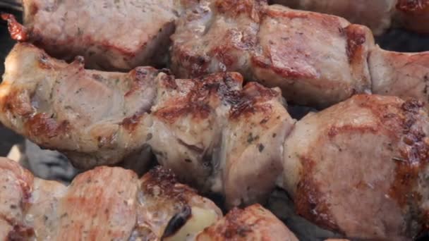 Duman Üzerinde Marine Şaşlık Bir Barbekü Hazırlanıyor Barbekü Izgara Sığır — Stok video