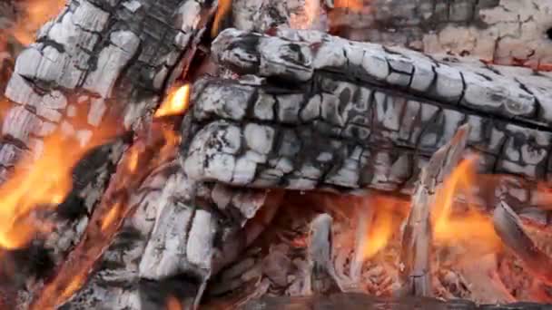 Brandend Hout Log Brandhout Een Kampvuur Met Rook Vlammen Vuur — Stockvideo