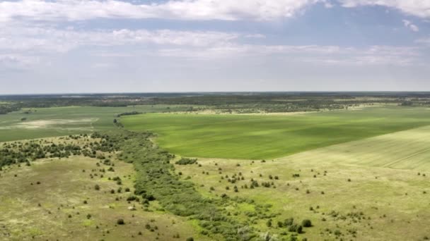 Luftaufnahmen Der Wunderschönen Ukrainischen Landschaft Sommer Einem Sonnigen Tag Fliegen — Stockvideo