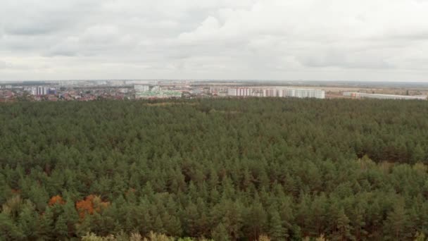 Vogels Kijken Vanuit Drone Het Groene Bos Herfst Bewolkte Dag — Stockvideo