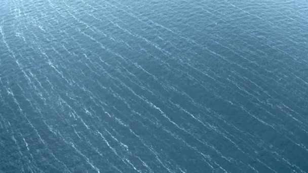 Aerial Top View Blue River Surface Background Water Texture Bird — Stock Video