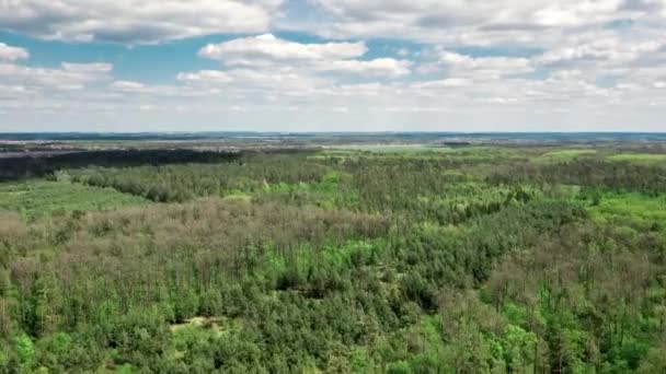 Oiseaux vue des images de paysage vert ukrainien par une journée ensoleillée d'été. Beau timelapse de campagne en été. Fond naturel du feuillage .