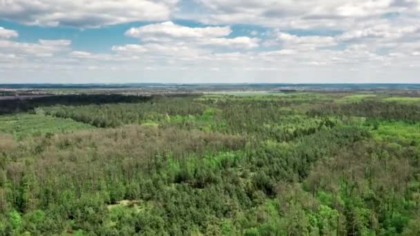 Birds Eye View Footage Ukrainian Green Landscape Summer Sunny Day — Vídeo de Stock