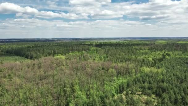 美丽的乌克兰绿色风景在夏日阳光灿烂的日子里消逝了 夏季乡村的空中拍摄镜头 天然叶背 — 图库视频影像