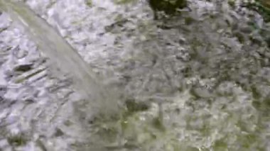 Yaz bahçesindeki bitkileri sulamak için bir kaseye su koy. Temiz su akıntısı.