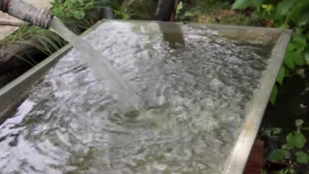 Wasser Einer Schale Sammeln Pflanzen Sommergarten Gießen Ein Strom Aus — Stockvideo