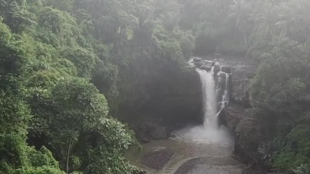 バリ島の滝 Indonezia Tegenungan — ストック動画