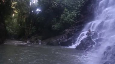 kız ve şelale ve bambu ormanda yoga