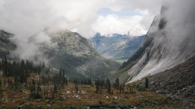  Orman ve dağlar. Ergaki doğa parkı. Sibirya, Krasnoyarsk bölgesi. Sayan dağları
