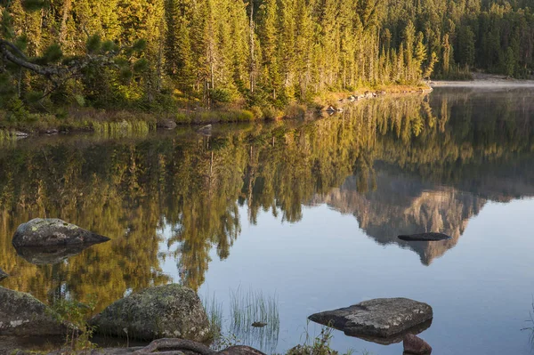 Reflet Dans Eau Forêt Montagnes Parc Naturel Ergaki Sibérie Région — Photo