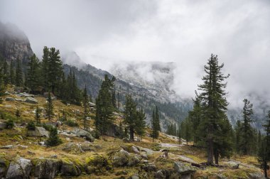 Mountains, forests and clouds. Sayan mountains. Ergaki nature Park. Krasnoyarsk region.