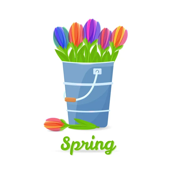 Colorfull tulips in the bucket. — Stock Vector