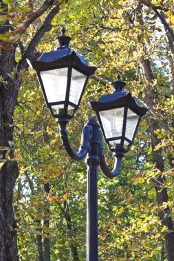 sokak lâmbası direği sarı sonbahar yaprakları bir arka plan üzerinde