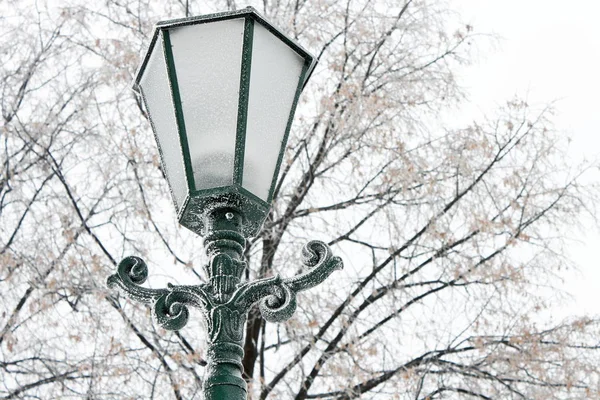Lâmpada de rua gelada em um dia frio de inverno — Fotografia de Stock