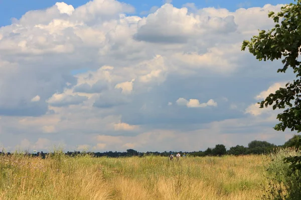 Paisaje con bosque-estepa y el grupo de turistas bajo el cielo azul con nubes Fotos De Stock