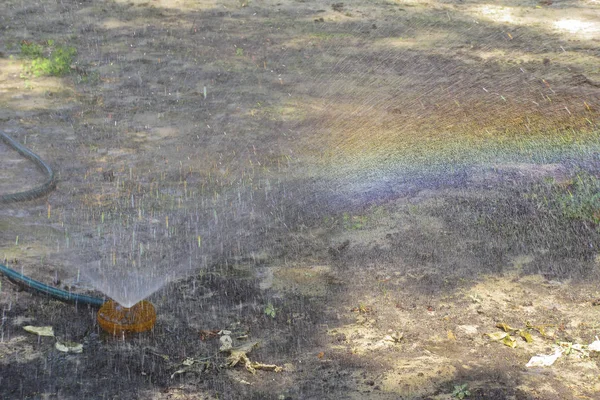 Rainbow in the sprinkler spray in the garden on a hot day — Stock Photo, Image