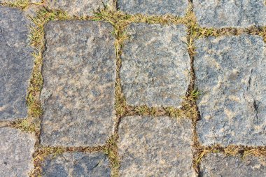 Taş kaldırım taşları arasında çim sonu