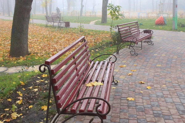 Gelbe Blätter auf einer feuchten roten Bank und auf dem Rasen in einem Park an einem nebligen Herbstmorgen — Stockfoto