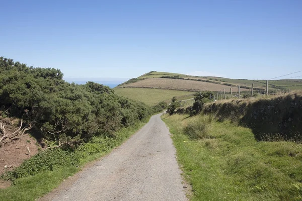 Narrow country lane winds through farmland in North Devon England