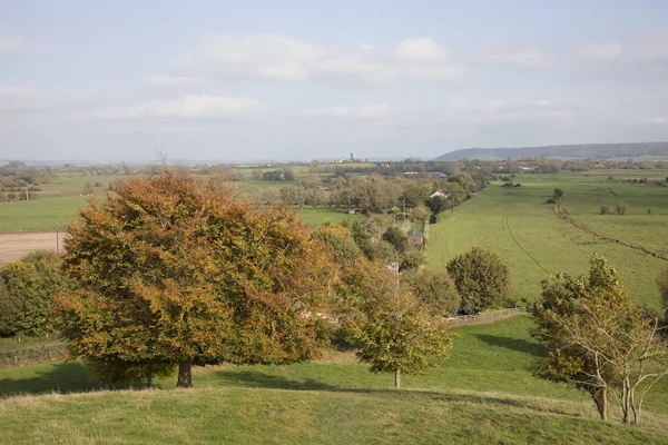 Prados Agrícolas Campos Dos Níveis Somerset Somerset Inglaterra — Fotografia de Stock