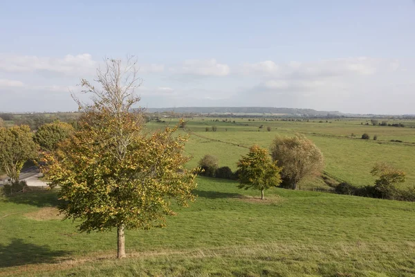 Prados Agrícolas Campos Dos Níveis Somerset Somerset Inglaterra — Fotografia de Stock