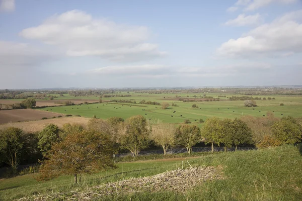 Gruntów Rolnych Somerset Levels Kraju Zachodniej Anglii — Zdjęcie stockowe