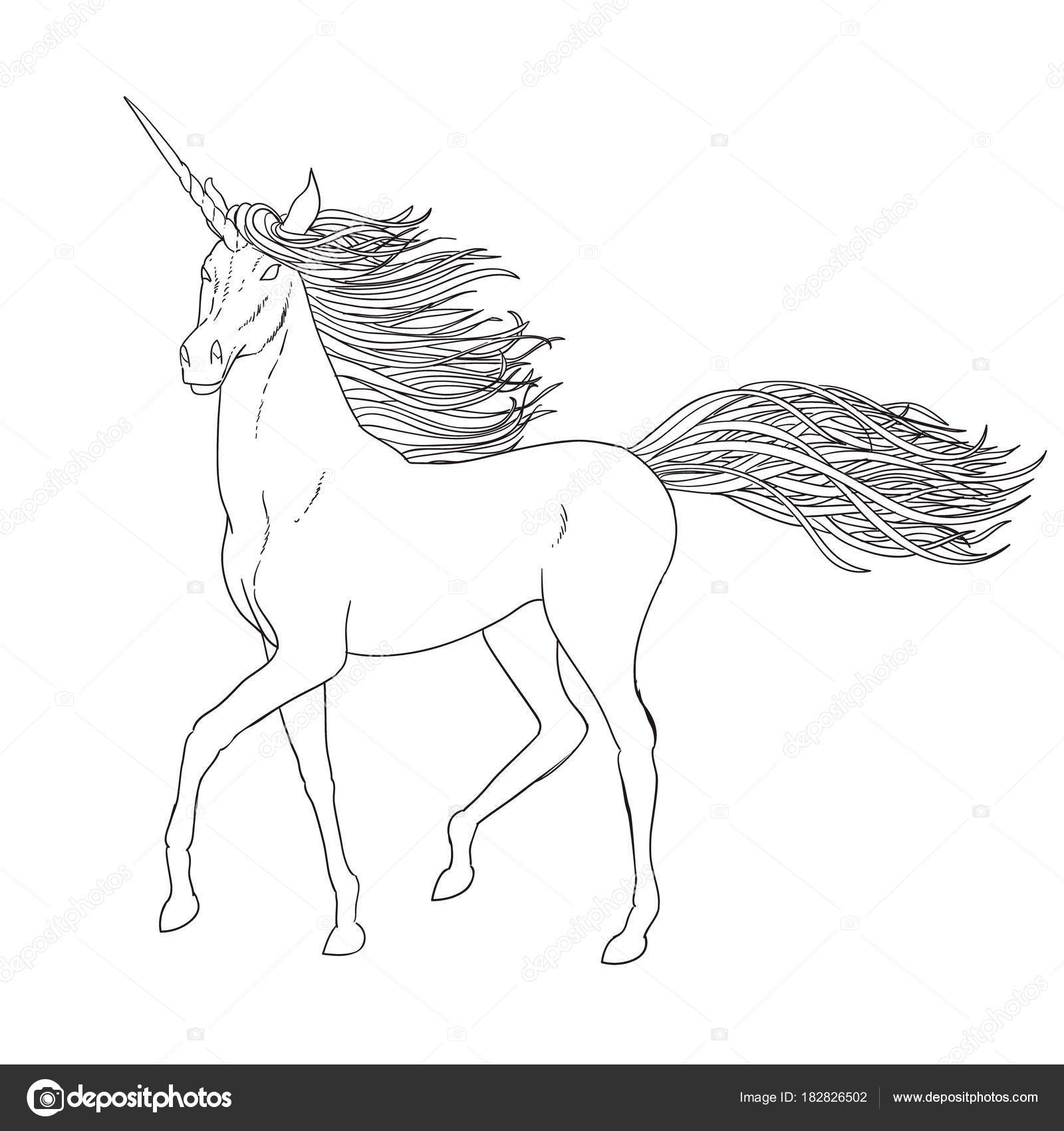 Illustration Vectorielle De Licorne Croquis Noir Et Blanc