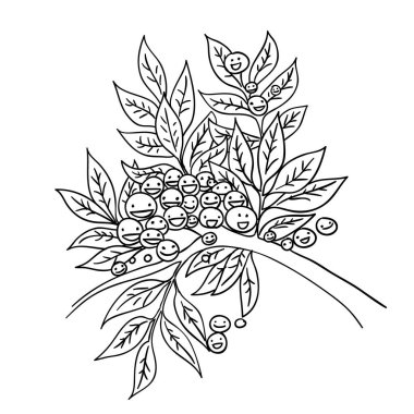 zeytin dalı siyah beyaz eskiz karikatür doodle vektör çizim