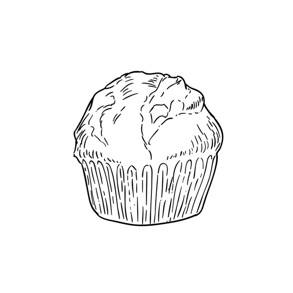 カップケーキの白黒漫画落書きをスケッチします。ベクトル図 — ストックベクタ
