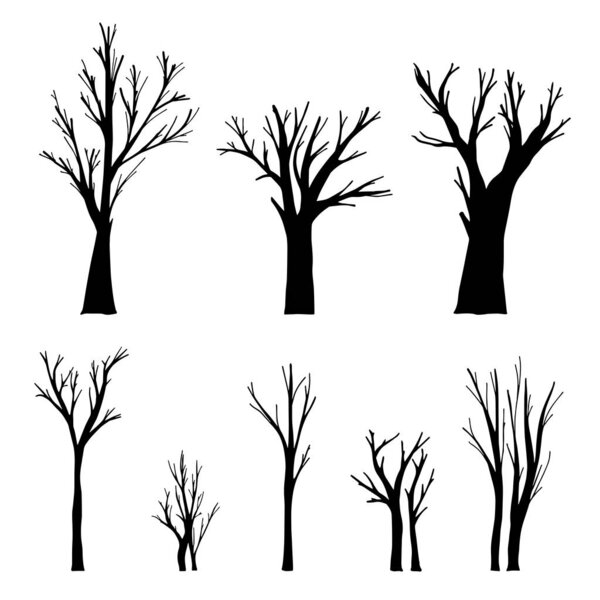 Set of isolated flat tree trunks on a white background. Hand drawn vector illustrations. Nature concept.