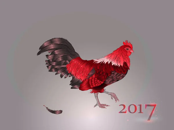 Chinese kalender. Jaar van de Haan. 2017. — Stockvector