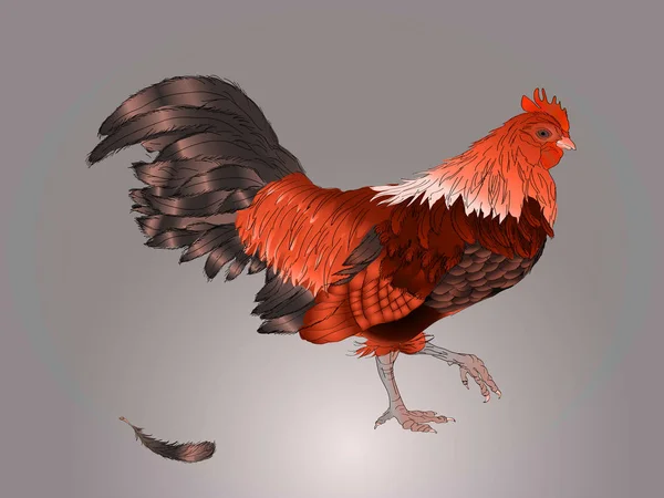 Calendario chino. Año del gallo. 2017 . — Vector de stock