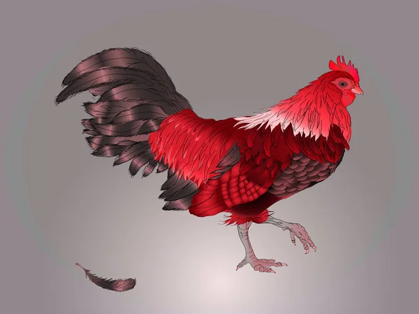 Calendario chino. Año del gallo. 2017 . — Archivo Imágenes Vectoriales