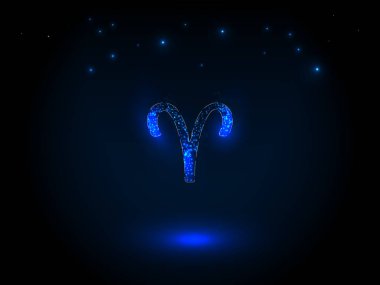 Yıldızlı gökyüzünde burç işareti.