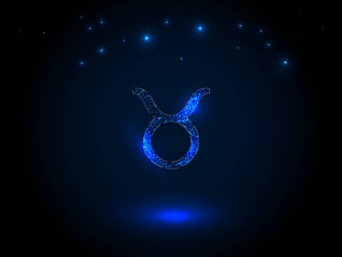 Yıldızlı gökyüzünde burç işareti.