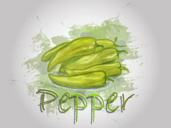 Pepper aquarela vetor alimento ilustração . —  Vetores de Stock