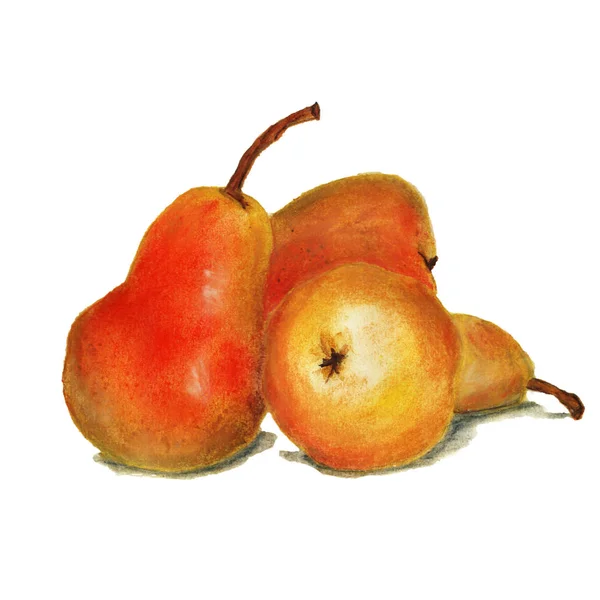 Pear akvarell mat illustration — Stockfoto