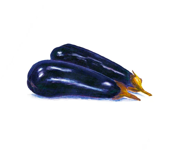 Aubergine aquarel voedsel illustratie. — Stockfoto