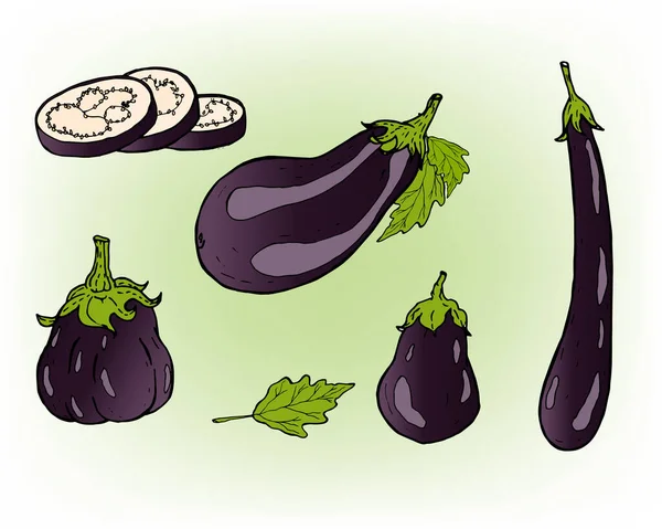 Olgun ve sulu mor patlıcan. Bir patlıcan takımı..