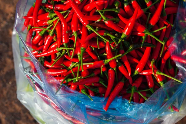 Chili peppers at the street market — Stock Photo, Image